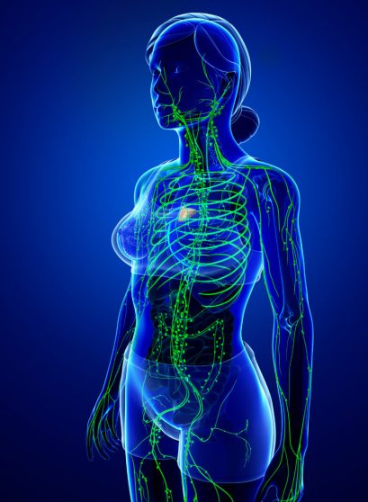 shutterstock_307993400-768x1139